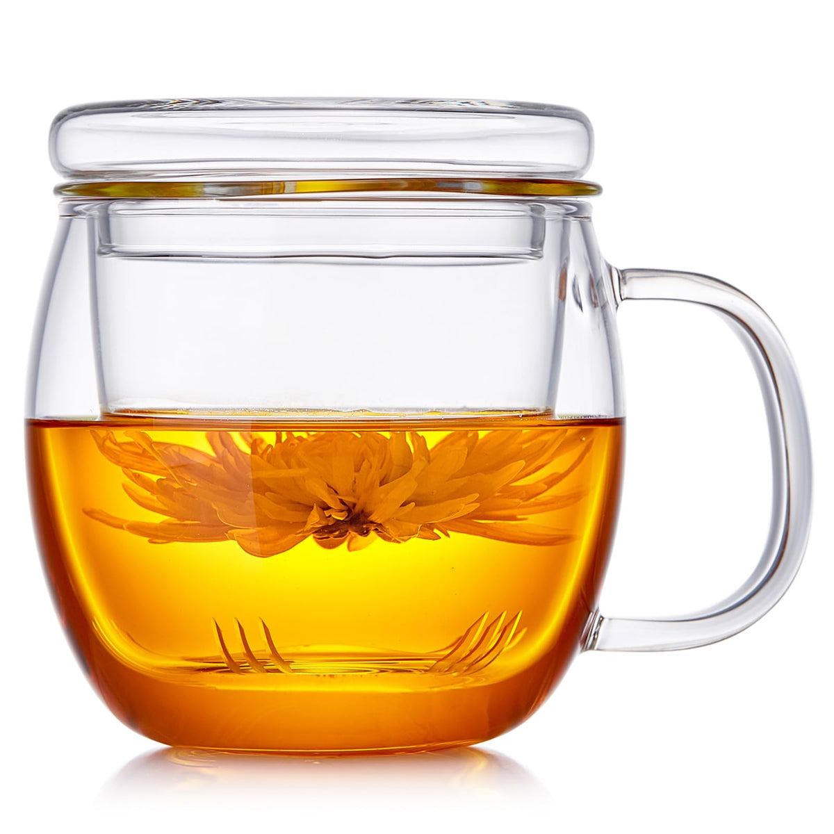 DOPUDO Glass Tea Cup with Infuser and Lid, 17.6oz/520ml Large Borosilicate Teacup,Tea Glass, Clear Mug for Loose Leaf Tea, Blooming Tea, Microwave & Dishwasher Safe - Tea Maker Gift for Birthday.