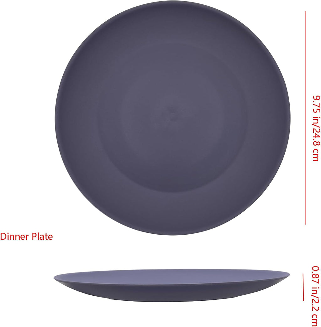 AOYITE 10 inch Plastic Plates Reusable Set 12, BPA Free Kid Plate Grey Tone