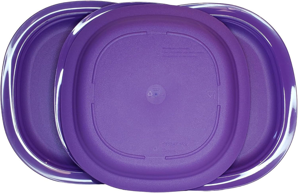 Tupperware Microwave Reheatable Luncheon Plates 9.5" Set of 4 in Purple