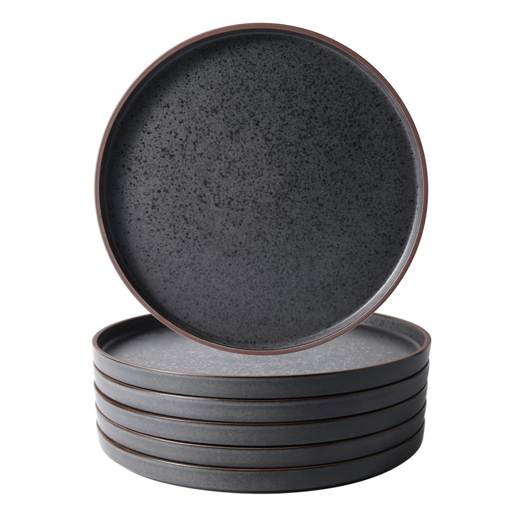 LERATIO Ceramic Dinner Plates Set of 6,10.25 inch Large ceramic plates