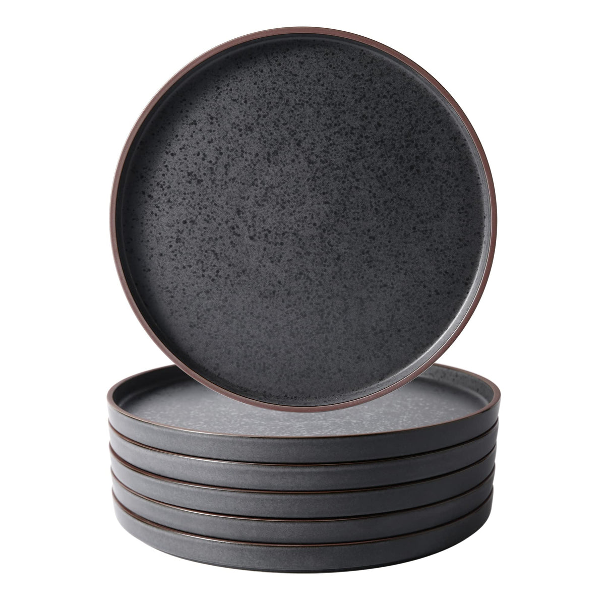 LERATIO Ceramic Dinner Plates Set of 6,10.25 inch Large ceramic plates