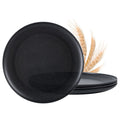 MISS BIG Wheat Straw Plates Set of 4, 10 Inch White Dinner Plates, BPA Free
