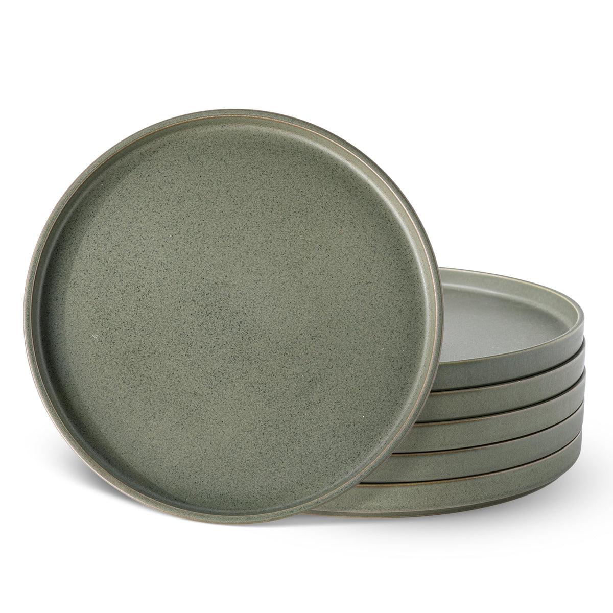 LERATIO Ceramic Dinner Plates Set of 6,10.25 inch Large ceramic plates