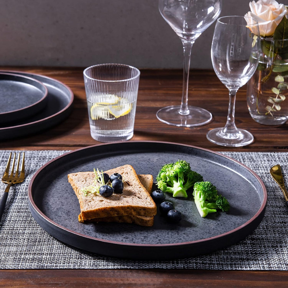 LERATIO Ceramic Dinner Plates Set of 6,10.25 inch Large ceramic plates