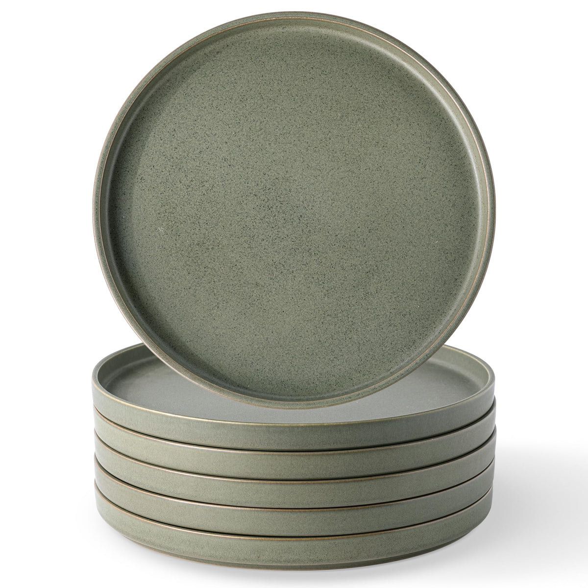 LERATIO Ceramic Dinner Plates Set of 6,10.25 inch Large ceramic plates